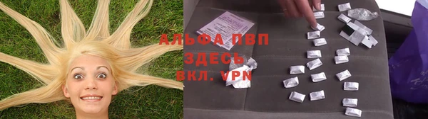 кокс Кинешма