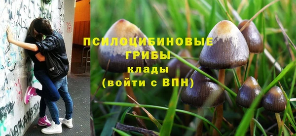 кокс Кинешма
