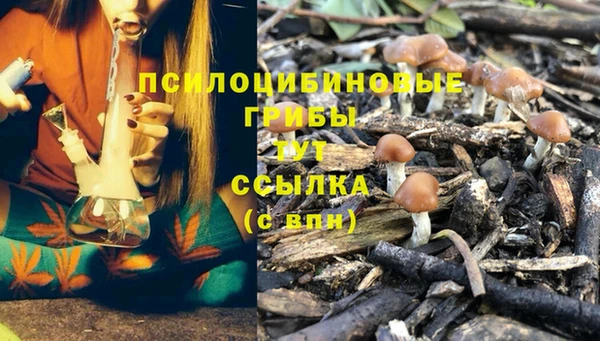 кокс Кинешма