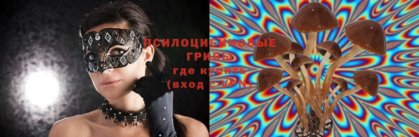 spice Киреевск